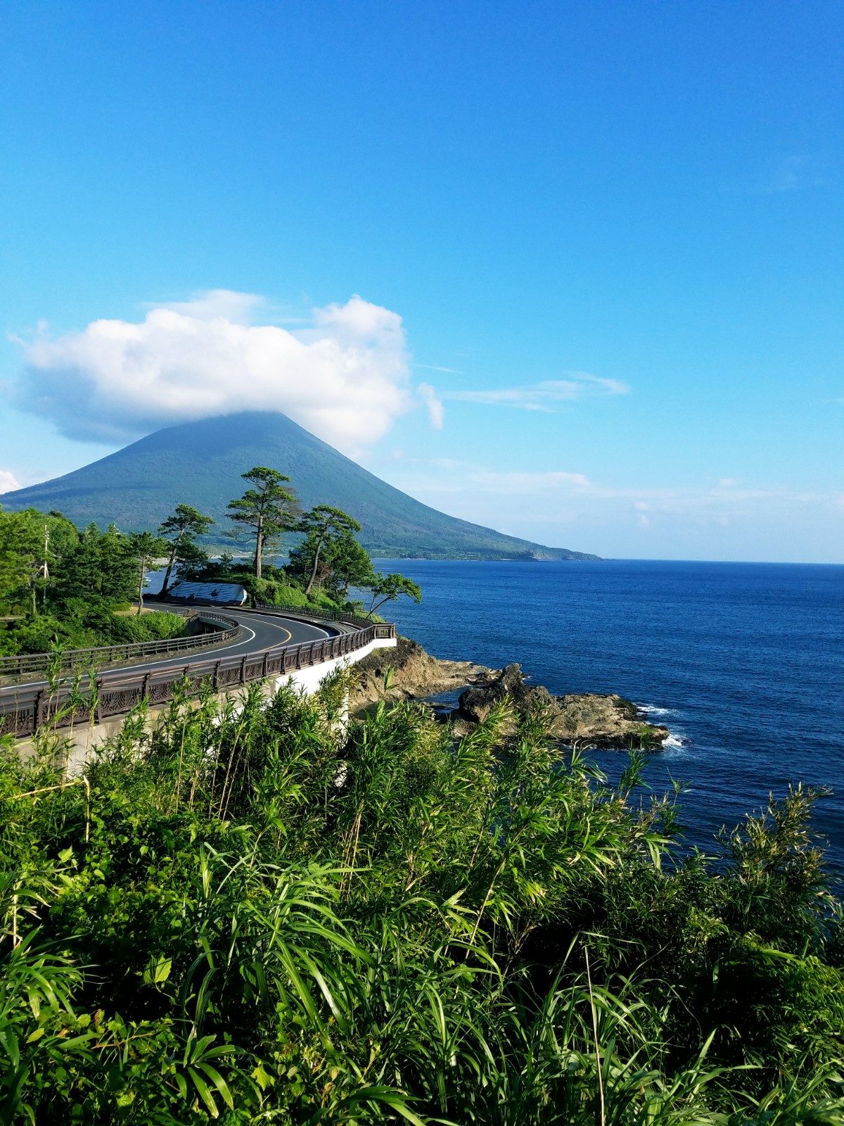 写真：開聞岳